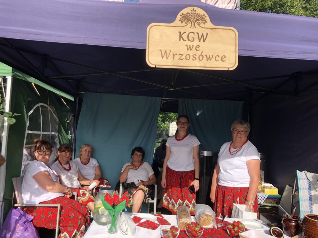 Prezentacja stoiska KGW na Letnim festiwalu Folkloru organizowanym przez Powiatową Bibliotekę Publiczną w Rykach