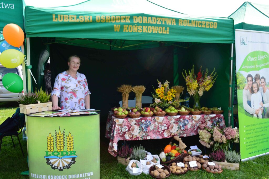 dożynki powiatowo- gminne,  KGW prezentacja