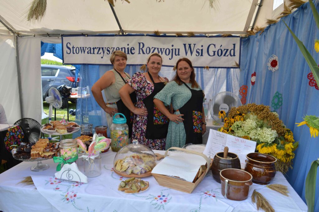 dożynki powiatowo- gminne,  Stowarzyszenia  prezentacja