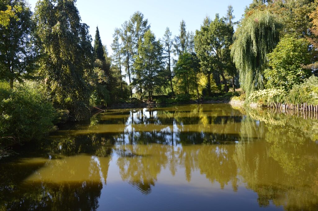 nad wodą w Daglezji