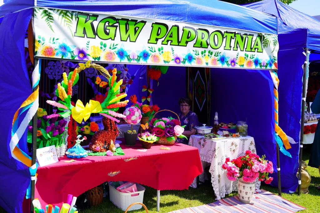 Festiwal Kultury Regionów, zdjęcie zamieściła Dagmara Jarosz - dyrektor Powiatowej Biblioteki Publicznej w Rykach - zdjęcie stoiska