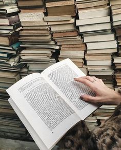 co wybrać Dużo książek, ktoś otworzył jedną i czyta